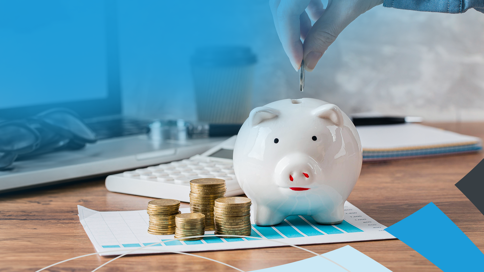 Falta de Conhecimento em Gestão Financeira